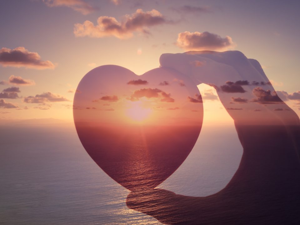 wellness and employee health